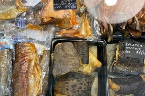 Пользователь не найден при входе на кракен